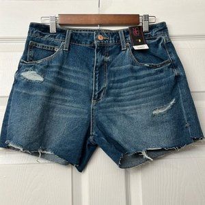 Womens Jean Shorts Size 11